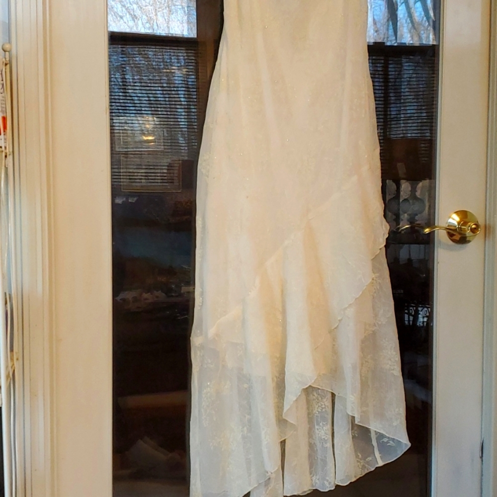 Lady's dress